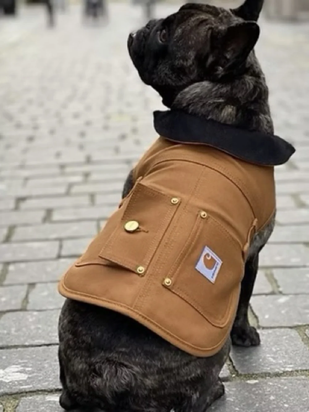Carhartt Insulated Dog Chore Coat Size Medium 22”-28” Chest